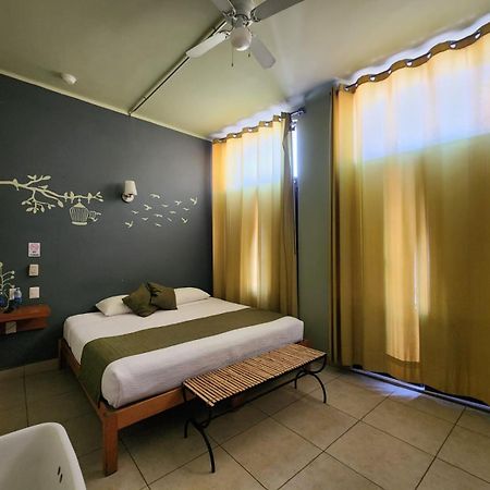 Hotel Plaza Querétaro Buitenkant foto